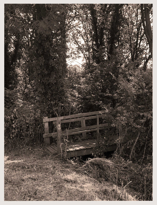 August / September Newsletter